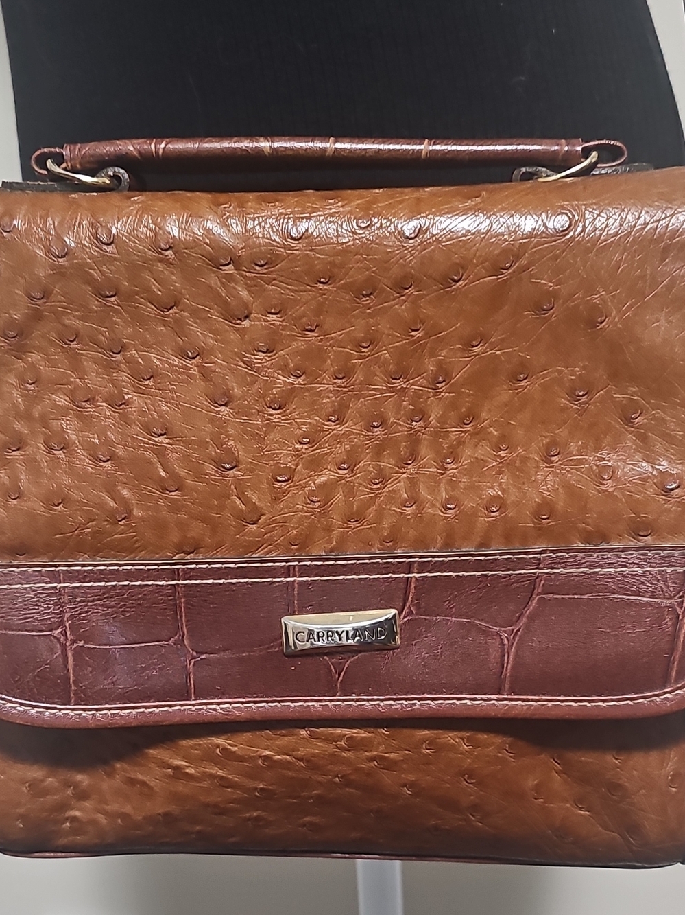 Carryland Brown Faux Ostrich & Croc Crossbody Bag
